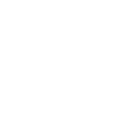 Software Development Company