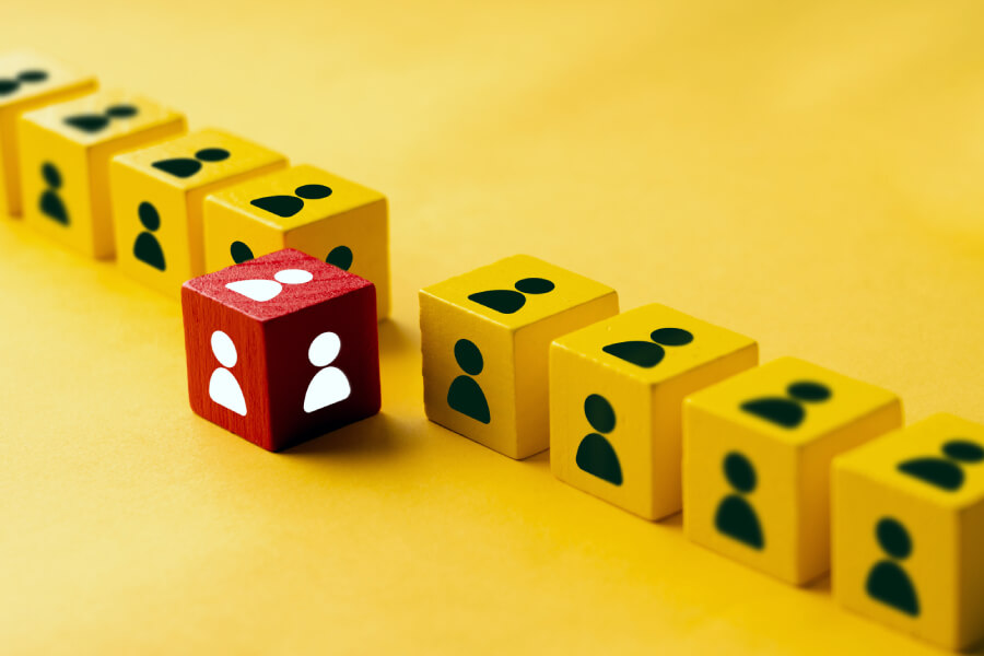 Full Product Suite Development